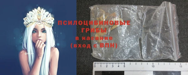 твердый Богданович
