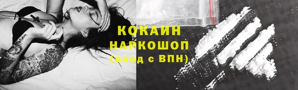 spice Богородицк