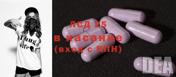 spice Богородицк