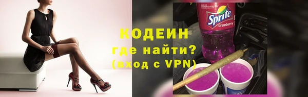 spice Богородицк