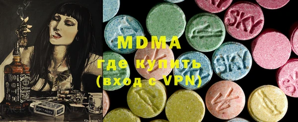 spice Богородицк