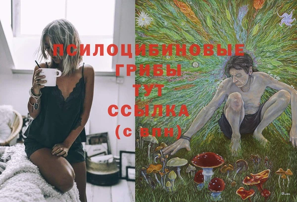 твердый Богданович