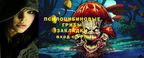 MDMA Богородск