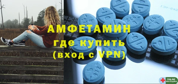 spice Богородицк