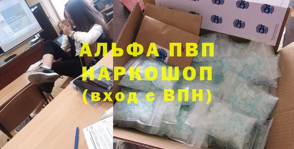 твердый Богданович