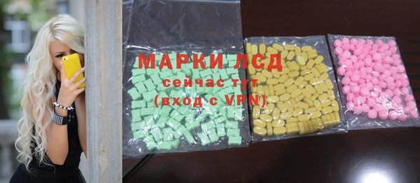 spice Богородицк