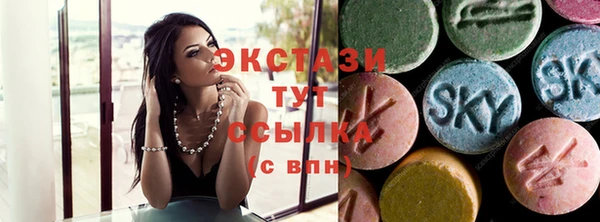 твердый Богданович