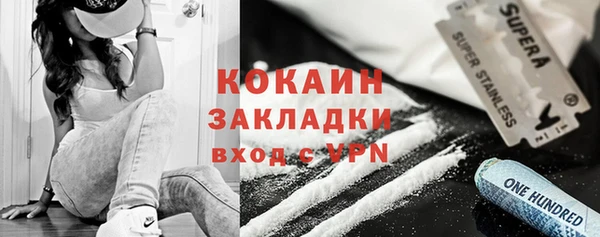 твердый Богданович