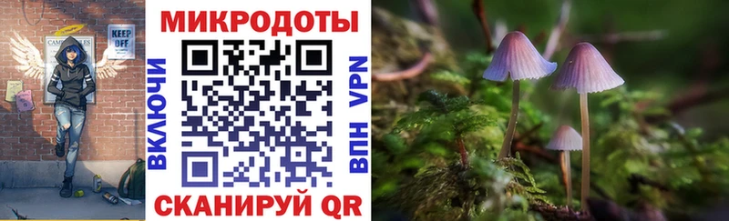 Купить где Воскресенск Псилоцибиновые грибы Magic Shrooms